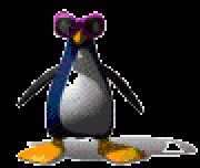 jolie pinguin